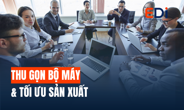 DỊCH VỤ TƯ VẤN THU GỌN BỘ MÁY & TỐI ƯU SẢN XUẤT