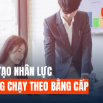 ĐÀO TẠO NHÂN LỰC KHÔNG CHẠY THEO BẰNG CẤP: DOANH NGHIỆP CẦN GÌ TRONG KỶ NGUYÊN CẠNH TRANH BẰNG NĂNG LỰC?
